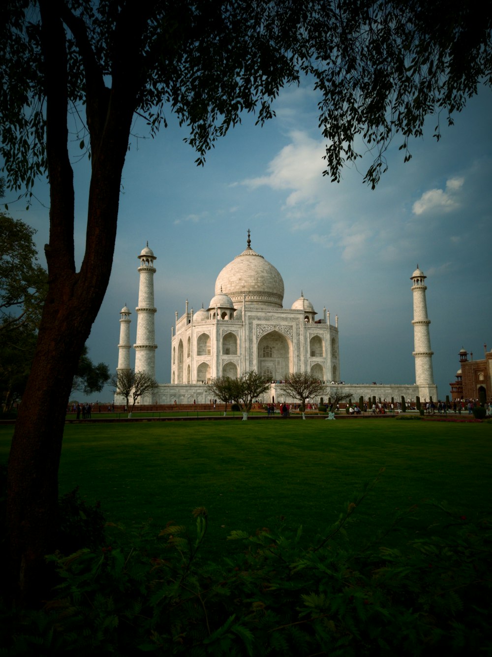 Best Private Driver India