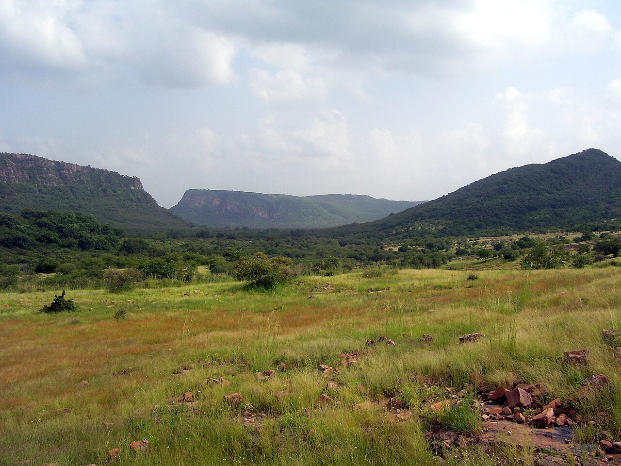Rajasthan Wildlife Tour with Private driver india